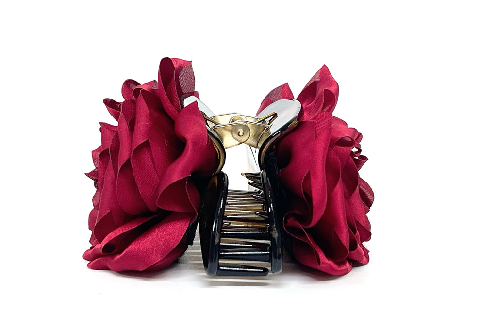 Tiburón Leonor Burdeo