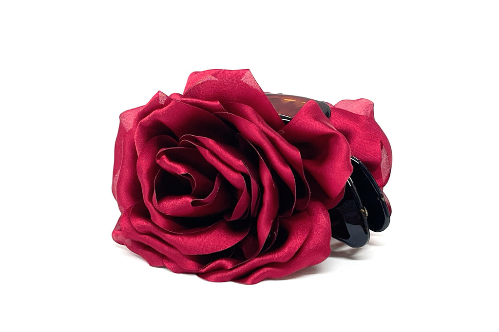 Tiburón Leonor Burdeo