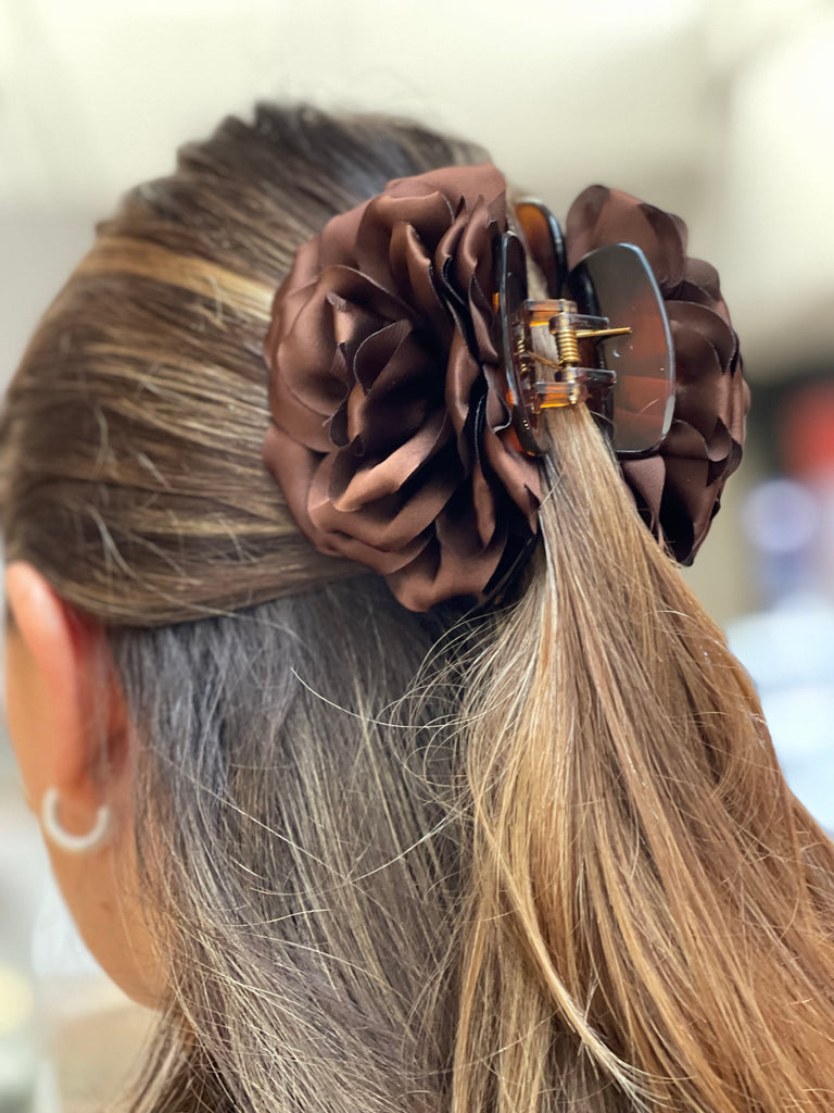 Tiburón Leonor Cafés