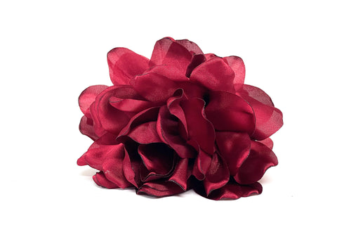 Tiburón Sofía Burdeo