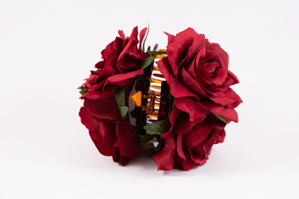 Tiburon Amaranta Burdeo