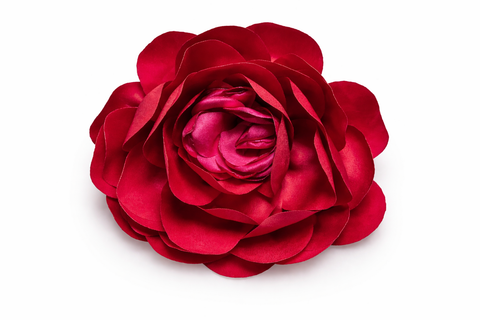Traba Flores Loreto