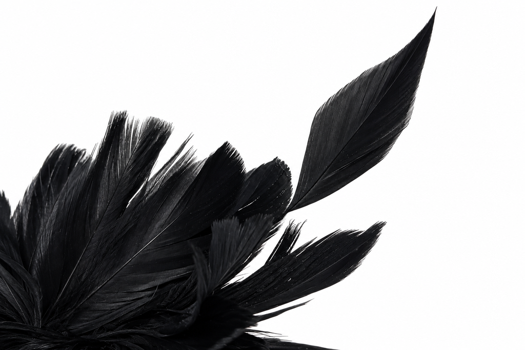 Prendedor XL plumas Negro