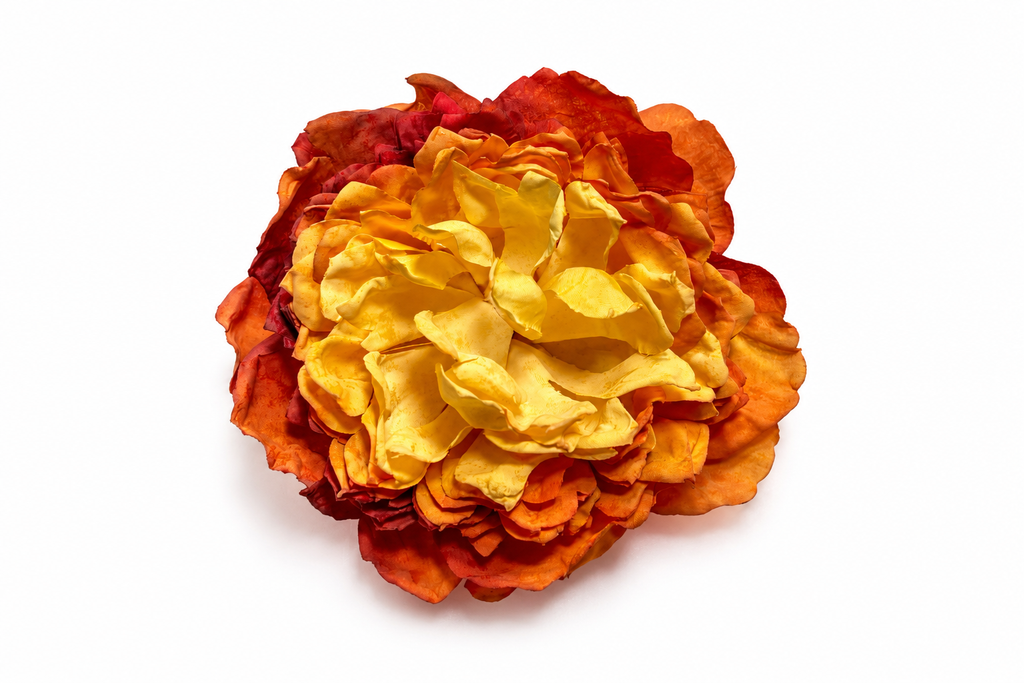 Traba Peonia