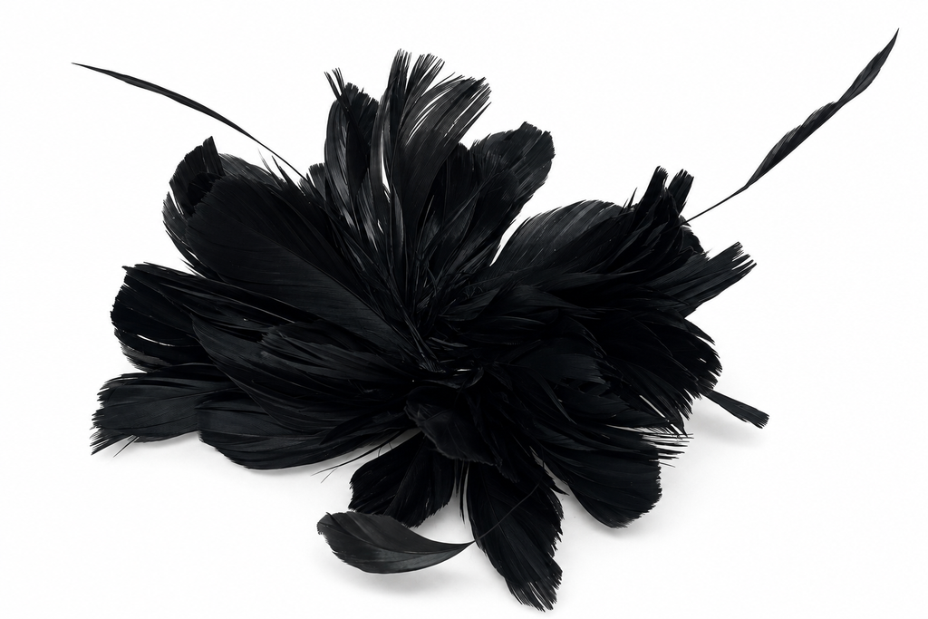 Prendedor XL plumas Negro