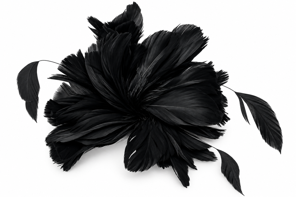 Prendedor XL plumas Negro