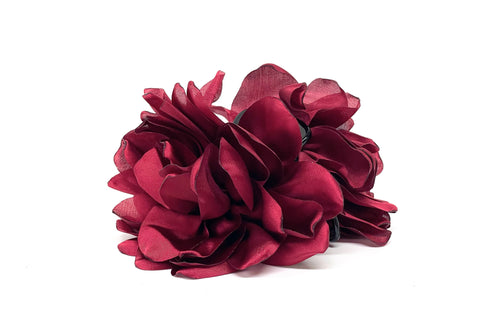 Tiburón Sofía Burdeo