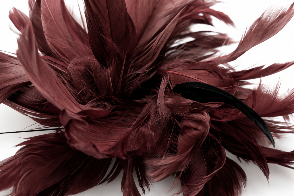 Prendedor Plumas Kocia