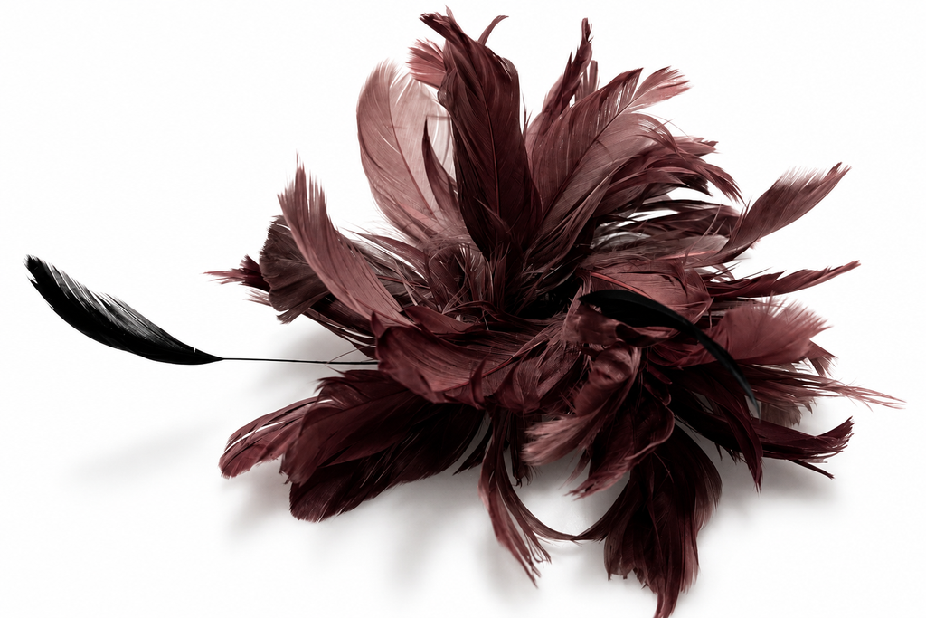 Prendedor Plumas Kocia