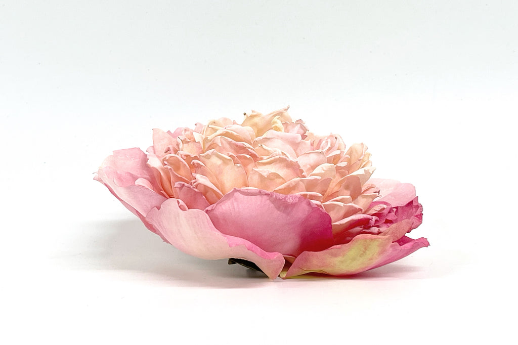 Prendedor Peonia Rosado