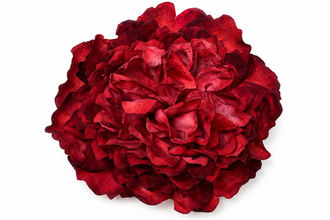 Traba Peonia