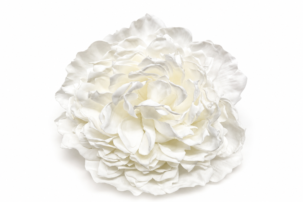 Traba Peonia