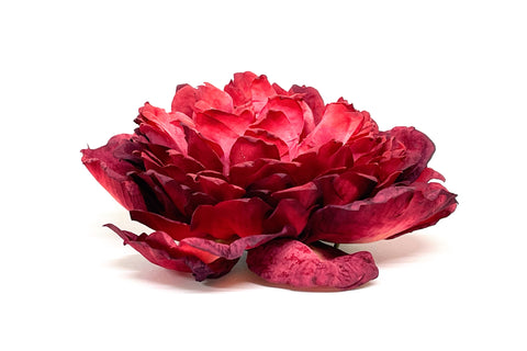 Prendedor Peonia Rojo