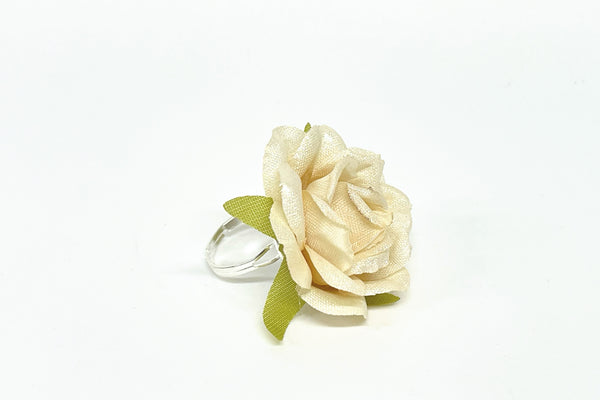Anillo Klein