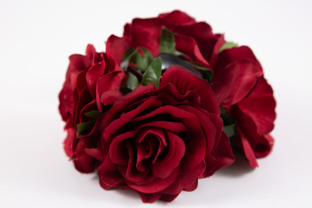 Tiburon Amaranta Burdeo