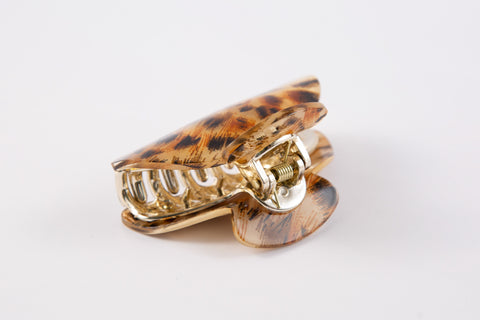 Tiburon7 Print Shine